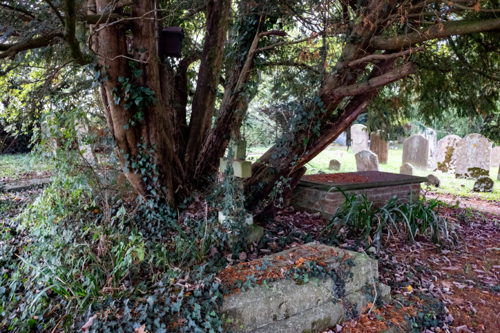 Crab and Winkle Way – Whitstable to Canterbury