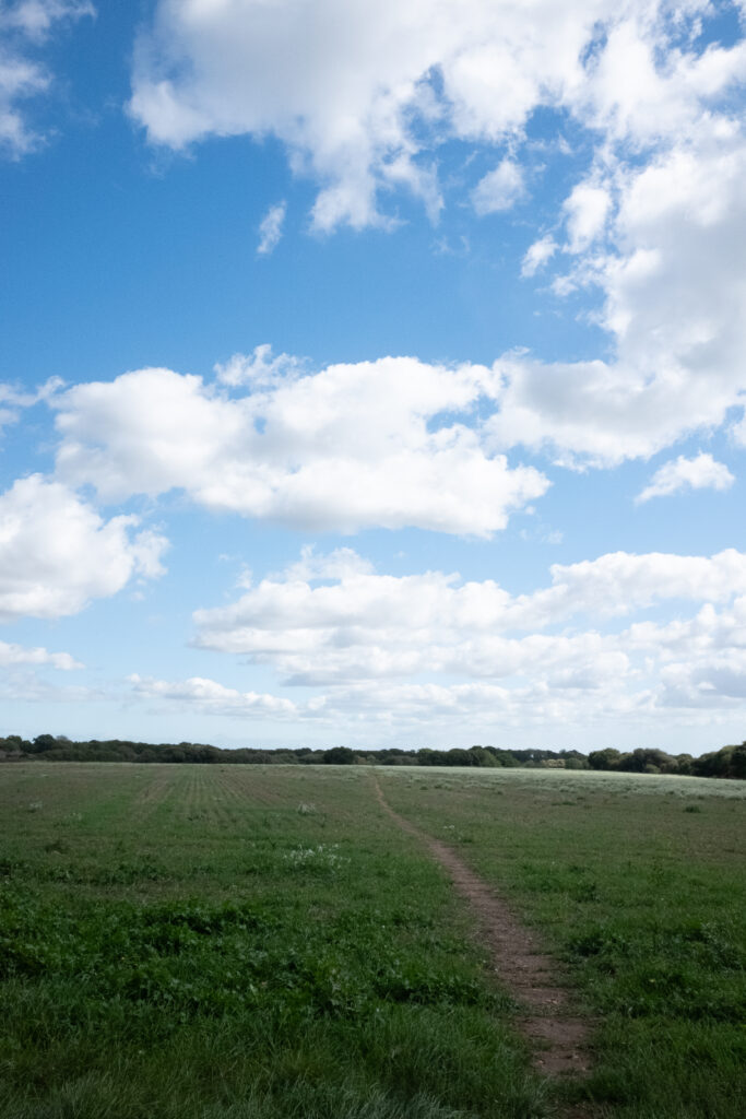 Crab and Winkle Way – Whitstable to Canterbury